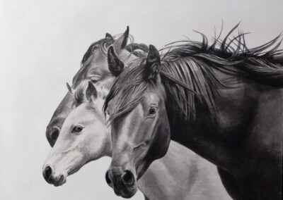 Painting of a horse by Delvea Tuff, titled Bonds.