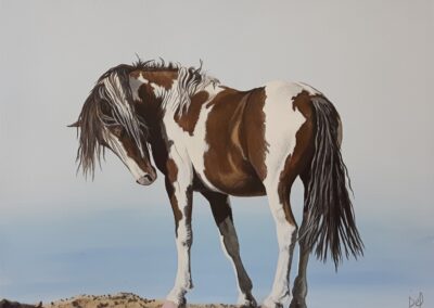 Painting of a horse by Delvea Tuff, titled Paint Me Pretty.